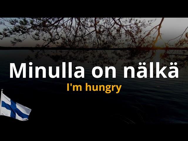 Common Finnish Sentences - Learn Easily