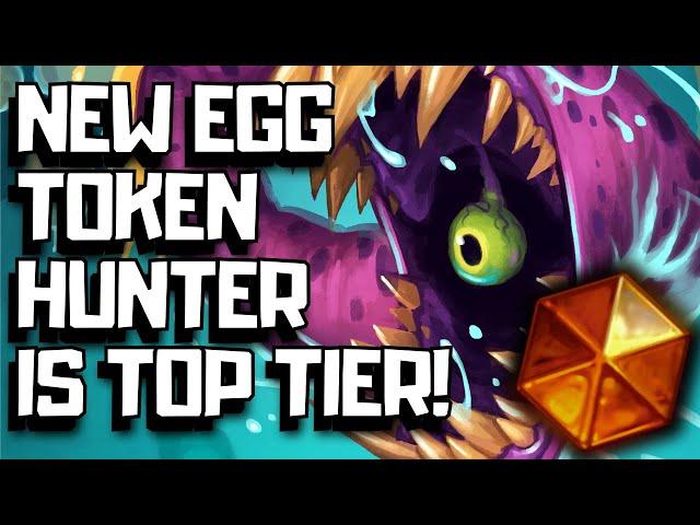 New Token Hunter Is Top Tier Right Now! (Detailed Guide)