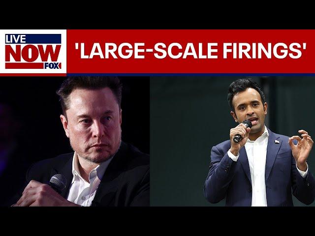 Musk & Ramaswamy float ending remote work for federal employees | LiveNOW from FOX