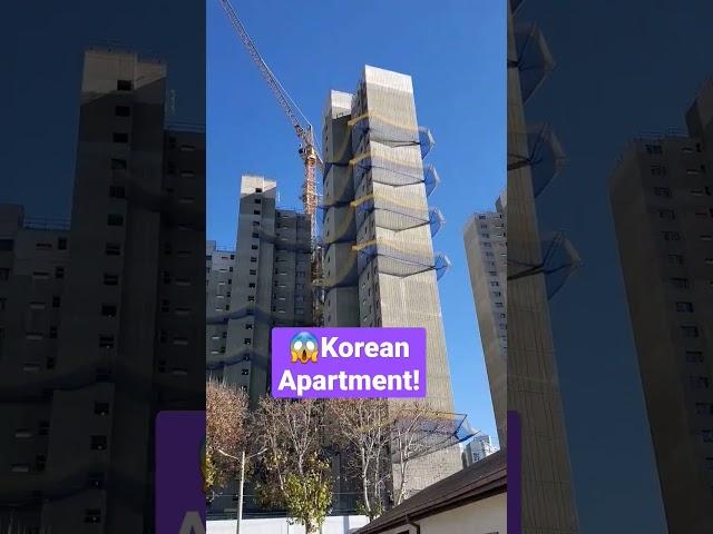 NEW Apartments in KOREA! 