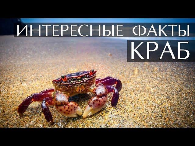 Интересные факты о Крабах