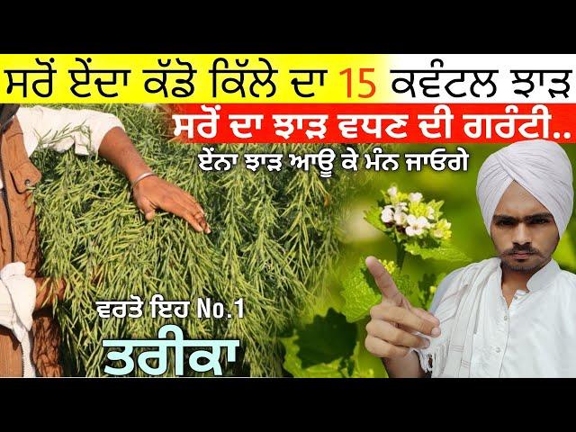 ਸਰੋਂ ਦੇ ਵਧੇਰੇ ਝਾੜ ਲਈ ਇਹ ਕੰਮ ਕਰੋ • sarso ki kheti karne ka tarika | mustard farming | agri advice