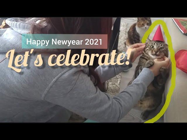 New Year With Cats