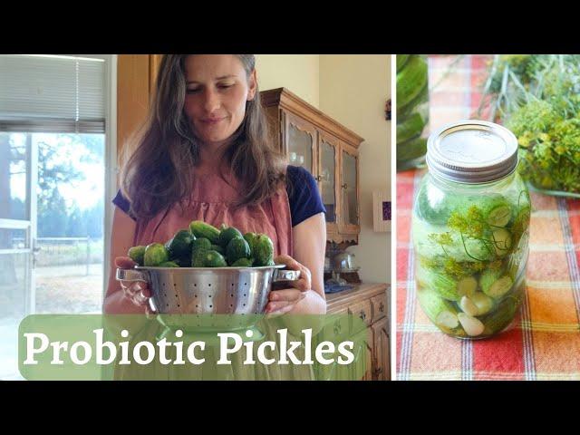 How I make my Fermented Pickles | LOW CARB | PALEO | HOMESTEADING