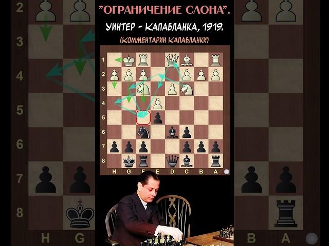 "Комментирует Капабланка". Уинтер - Капабланка, Гастингс, 1919. #шахматы #классика