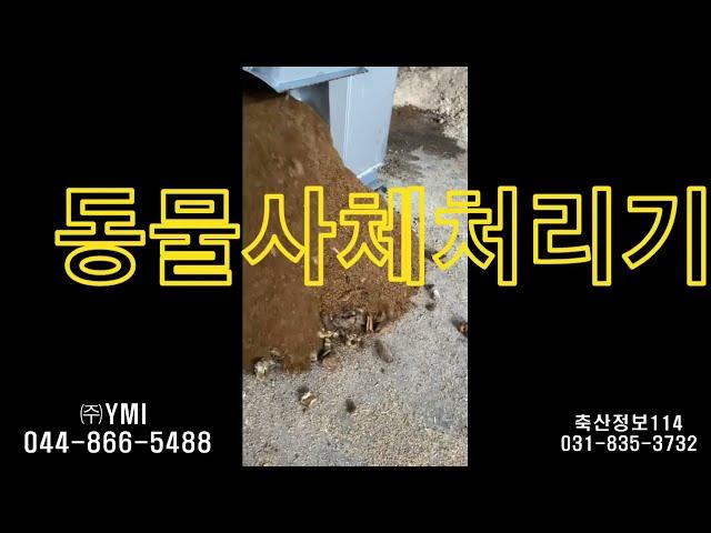 YMI 3 5~6시간대 배출영상 축산정보114 와이엠아이