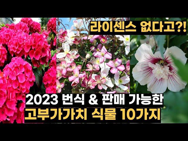 라이센스 없다! 번식&판매 가능한 고부가가치 식물 10가지