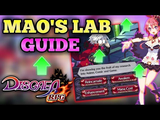 Disgaea rpg - Mao's Lab guide, upgrade system, & budget AOE units