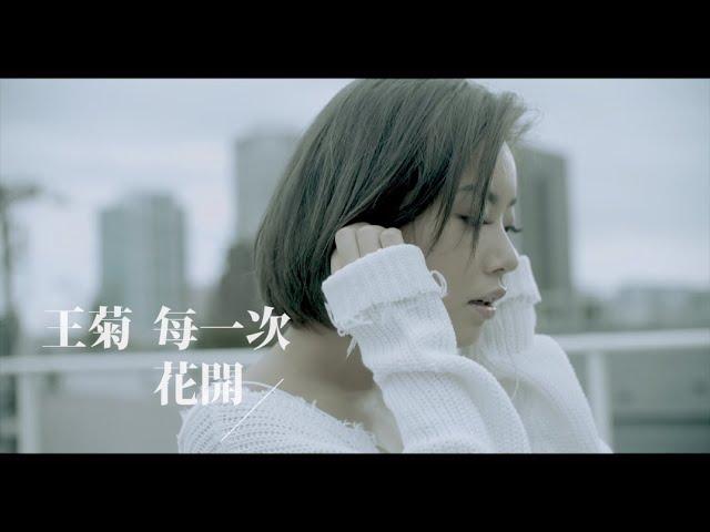 [avex官方HD] 王菊 -《每一次花開》官方完整版MV