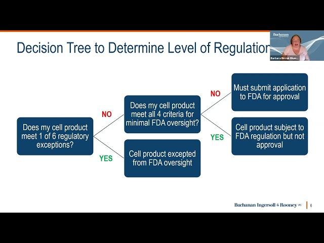 Understanding US FDA Regulatory Responsibilities for Cell Therapy Companies