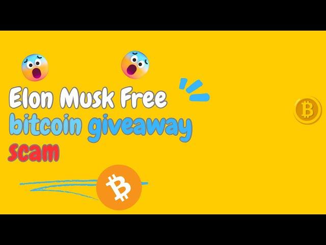 Elon Musk bitcoin giveaway on TikTok | scam explained