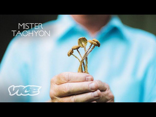 Psilocybin Mushrooms & The Path to Higher Consciousness