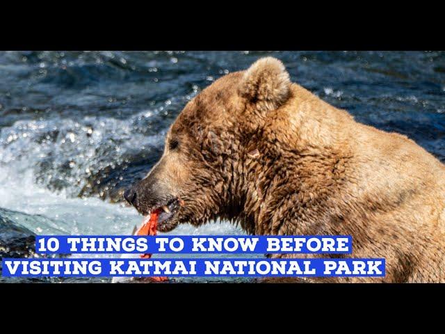 10 Things to Know Before Going to Katmai National Park