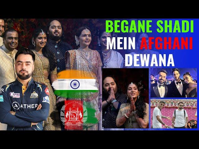 Begani Shade Mein Afghani Dewana | Rashid Khan Reached India for Anant Ambani Wedding