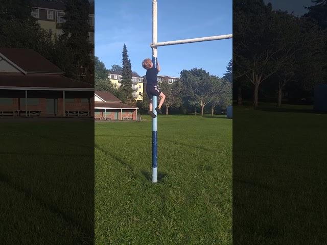 Redhead Monkey Traversing Rugby Posts