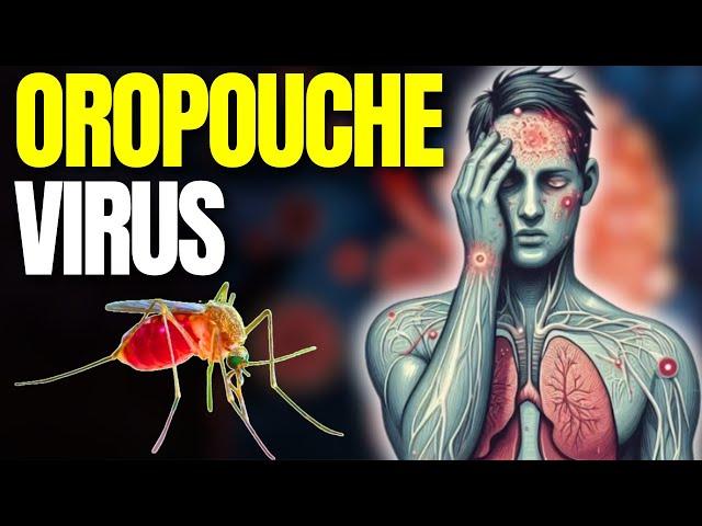 Oropouche Virus Fever: 2024 Outbreak & How to Protect Yourself!