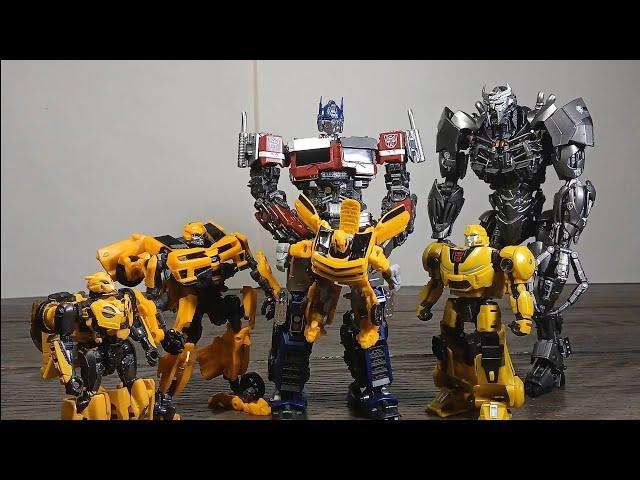 Why are there so many bumblebees stop motion