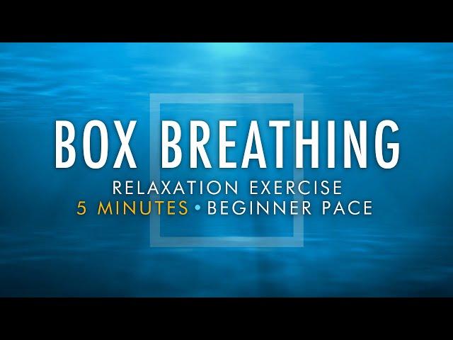 Box Breathing Relaxation Exercise | 5 Minutes Beginner Pace | Anxiety Reduction Pranayama Technique