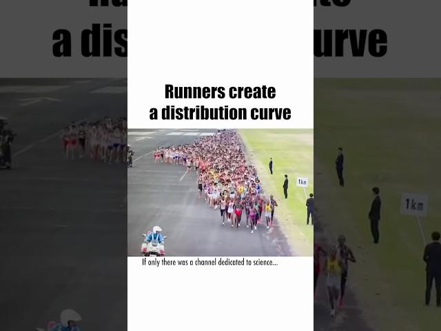 Math Controls EVERYTHING... How Runners Create a Distribution Curve