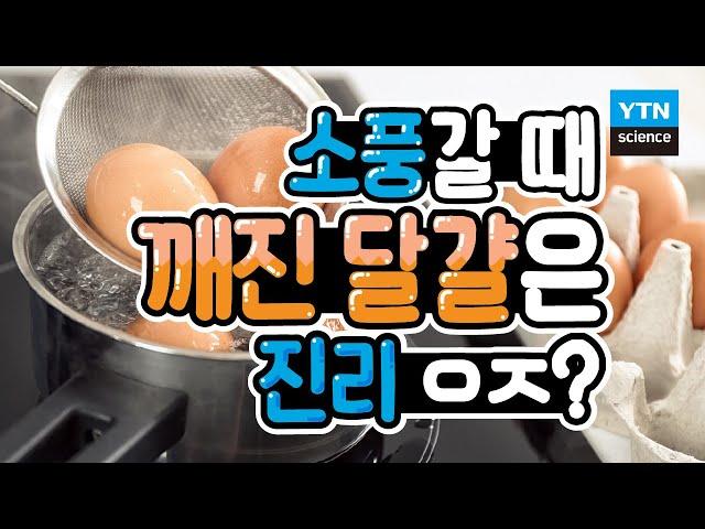 [30초 과학] 달걀이 깨진 이유는? 보일, 샤를에게 물어봐~ / YTN 사이언스