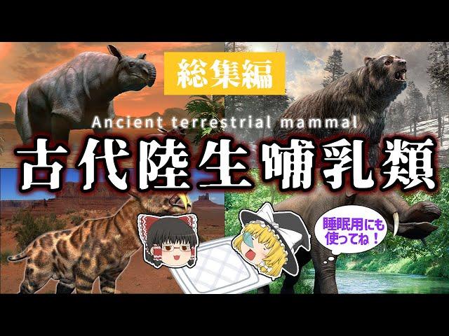 【睡眠用・ゆっくり解説】古代の哺乳類 総集編【広告最初のみ　途中広告なし】