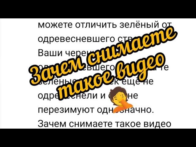 Зачем снимаете такое видео . Мой ответ на негативный комментарий.