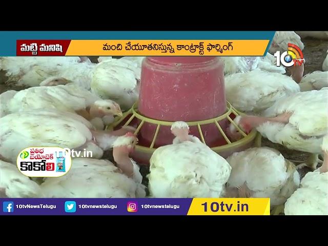 మట్టి మనిషి | Matti Manishi Full Episode | Agriculture | Agricultural Tips | 30-04-2023 | 10TV Agri