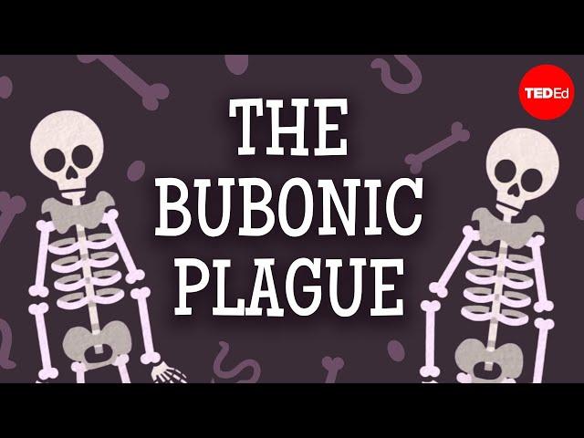 The past, present and future of the bubonic plague - Sharon N. DeWitte