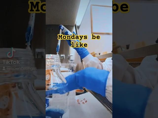 Welcome to Monday #scienceexperiment #shorts #science