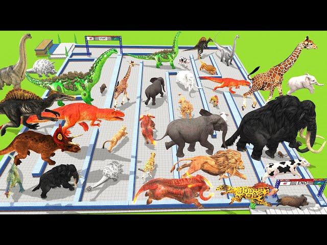 Which Animals vs Dinosaurs Speed Race Run Maze Course from Outside to Inside Animal Revolt Battle