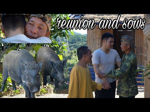 Hong Returns Home for a Heartfelt Talk with Adoptive Father Manh: Welcoming a Pregnant Pig!