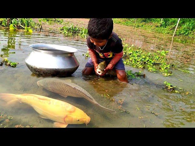 Amazing Hand Fishing /Traditional Boy Big Fishing by Hand in the pond/ছোট ছেলের হাত দিয়ে মাছ ধরা