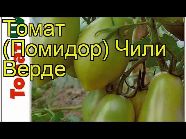 Томат Черрипальчики F1. Краткий обзор, описание характеристик solanum lycopersicum Cherripalchiki F1