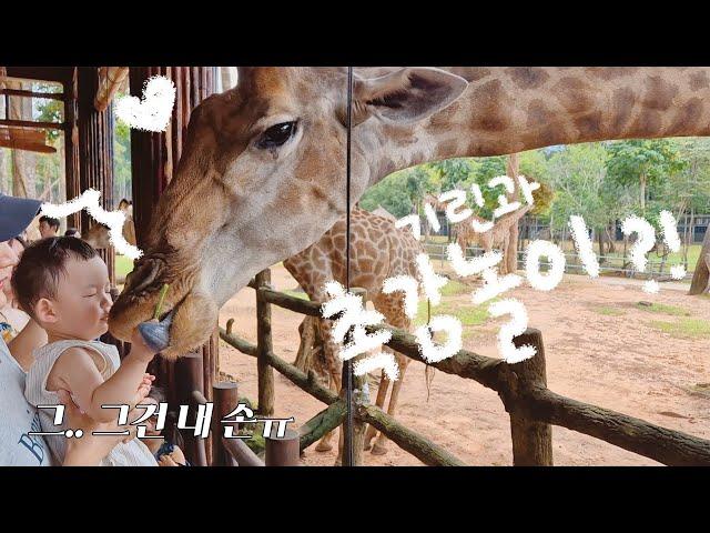 [SUB] Has anyone touched the giraffe's tongue? 19-month-old Suho will explain how it feels~ 