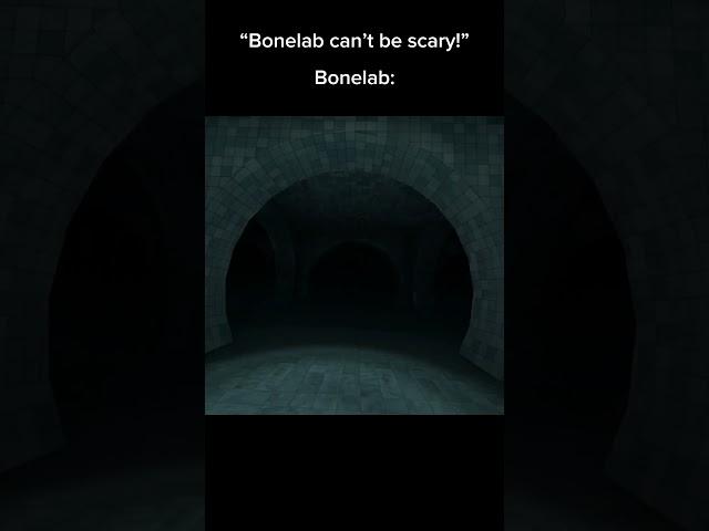 Bonelab IS scary…  #viral #bonelab