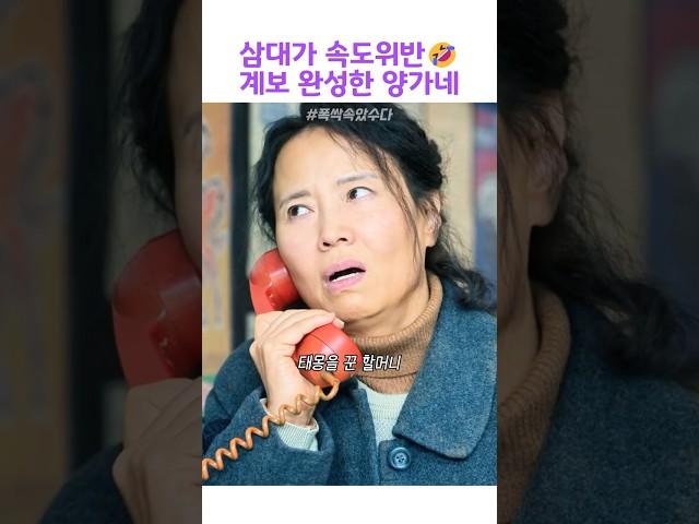 삼대가 속도위반계보 완성한 양가네#폭싹속았수다