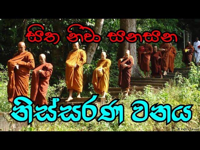 සිත නිවා සනසන මීතිරිගල නිස්සරණ වනය | NISSARANA VANAYA @rev.ridiyagamaindalokathero