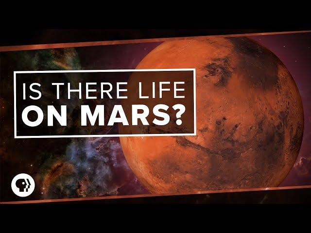 Is There Life on Mars?