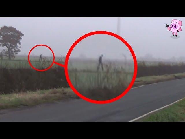 8 Mythological Creatures Caught on Camera