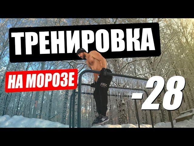 Тренировка на морозе в -28. Сжигаем жир на турниках.