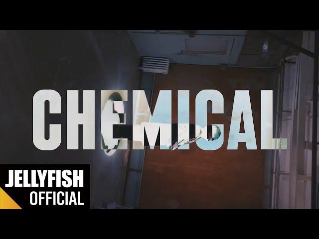 손참치 - 'Chemical' Official M/V