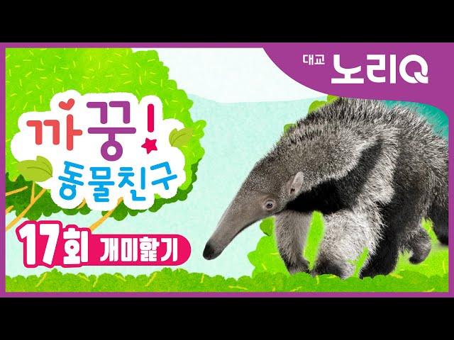 까꿍! 동물친구ㅣ자연관찰ㅣ개미핥기ㅣBabies&KidsㅣPikaboo! Animal friendsㅣAnt EaterㅣDaekyo noriQ l 대교 노리Q