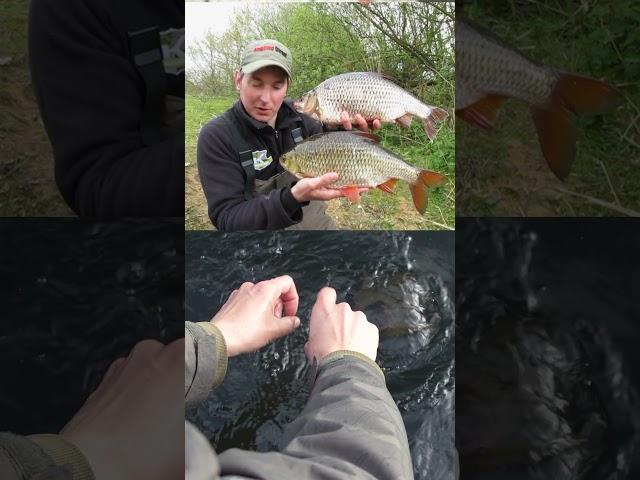 Reel Servicing at Angling direct