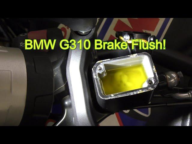 BMW G310 Brake Flush