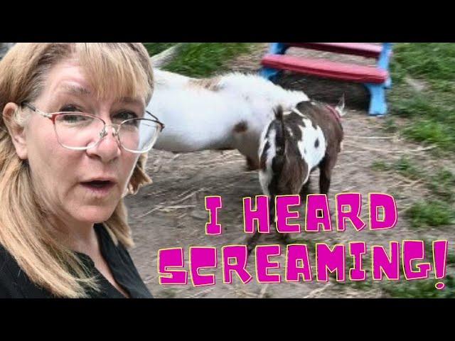 I HEARD Screaming So I Went RUNNING!