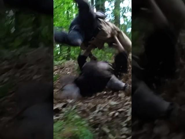 Daryl and Rick fights 1V1 | The Walking Dead