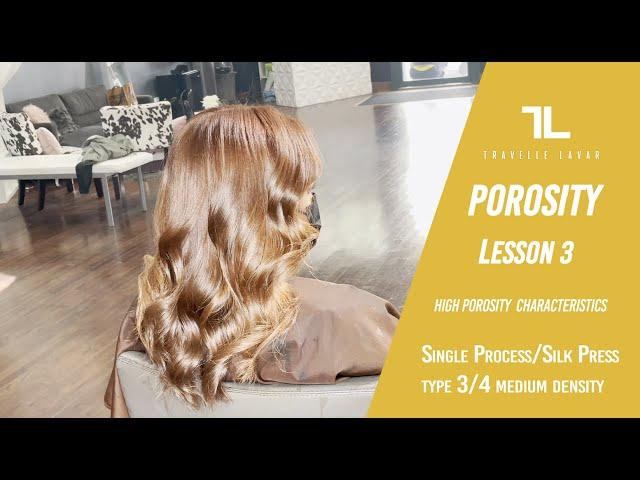 ️Porosity Lesson 3 + Color Transformation & Silk Press on High Porosity Hair 