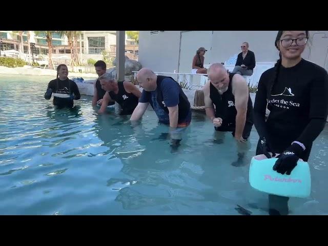 Stingray & Lagoon Experience At The St Regis Hotel In Longboat Key.