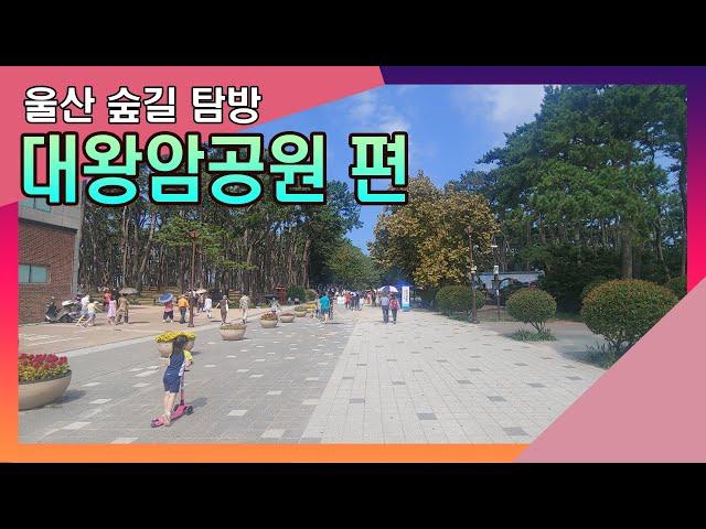 울산 숲길 탐방- 대왕암공원 편 Ulsan Forest Road Tour - Daewangam Park Episode