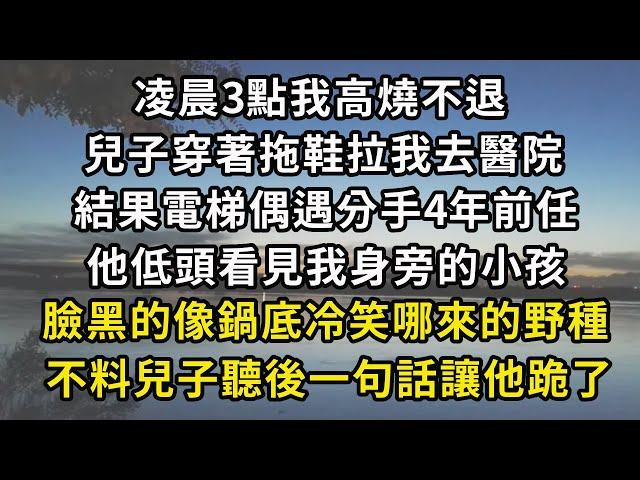 凌晨3點我高燒不退，兒子穿著拖鞋拉我去醫院，結果電梯偶遇分手4年前任，他低頭看見我身旁的小孩，臉黑的像鍋底冷笑哪來的野種，不料兒子聽後一句話讓他跪了！#翠花的秘密 #翠花的故事